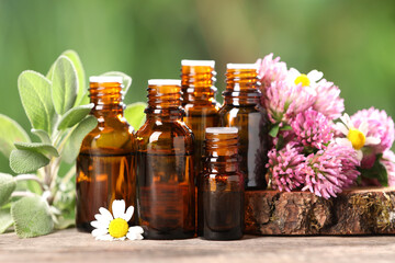 Bottles with essential oils, herb and flowers on wooden table against blurred green background, closeup