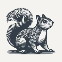 Fotobehang Squirrel. Vintage woodcut engraving style vector illustration. © RetroVector
