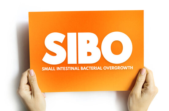 SIBO - Small Intestinal Bacterial Overgrowth is an imbalance of the microorganisms in your gut that maintain healthy digestion, acronym concept on card
