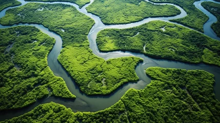 Deurstickers Bird s eye perspective of river bend in delta s lush greenery © vxnaghiyev