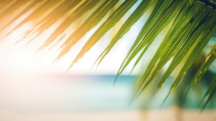 Fototapeta na wymiar Blurry tropical beach with green palm leaf and bokeh sun light wave background Summer vacation and business travel concept