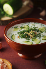 A bowl with Tarator cold soup - traditional Bulgarian dish