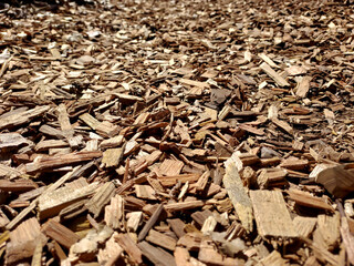 Close-up of splinters of wood. A pile of wood chips in the sun.