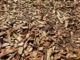Close-up of splinters of wood. A pile of wood chips in the sun.