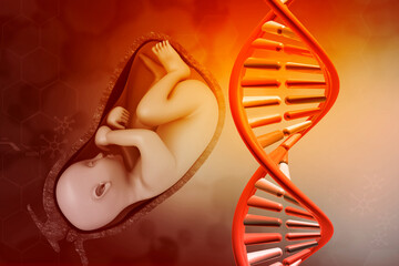 Human fetus with dna strand on medical background. 3d illustration.