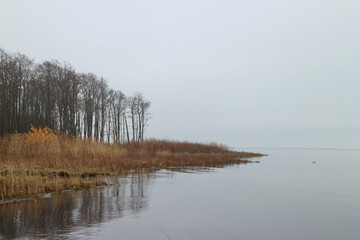 Fototapeta premium foggy autumn morning, waves, seashore, seascape, sky merges with the sea