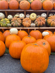 pumpkins for sale at market