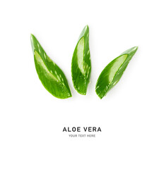 Fresh aloe vera slices isolated on white background, creative layout.