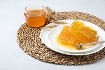 Natural honeycombs with tasty honey and dipper on white table