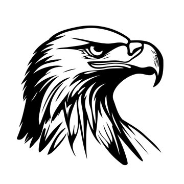 Hand drawn sketch eagle head black and white vector.