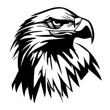 Hand drawn eagle head sketch in black and white vector. Drawing of bald eagle head