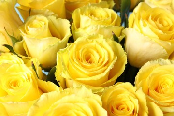 Beautiful bouquet of yellow roses, closeup view