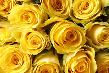 Beautiful bouquet of yellow roses as background, top view