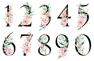 Black numbers with pink watercolor flowers and green and golden leaves, isolated illustration.