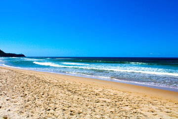 beach and sea in summer