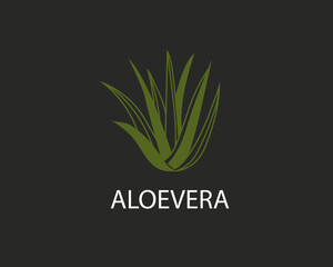 aloe vera plant logo design template for beauty care brand ,cosmetic ,skin care etc in linear style