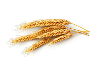Wheat Ears Are Isolated Against White Background