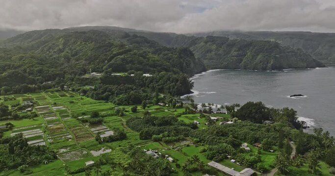 Maui Hawaii Aerial v40 cinematic drone flyover ke'anae peninsula capturing volcanic soil farmlands, Waialohe park, camping ground and scenic hillside bay views - Shot with Mavic 3 Cine - December 2022