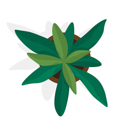Flower pot. Vector illustration. The houseplant thrives in its designated pot, bringing life to room The botanical garden showcases wide variety plant species from around world The blooming flowers
