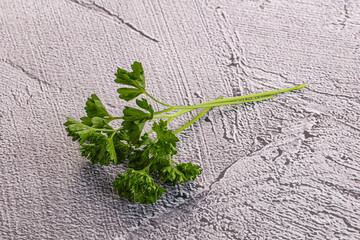 Green parsley leaves heap isolated