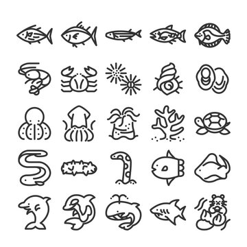 生物多様性 海洋生物 海産物 アイコン セット 