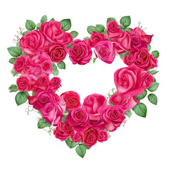Heart of roses on a white (isolated) background .png
