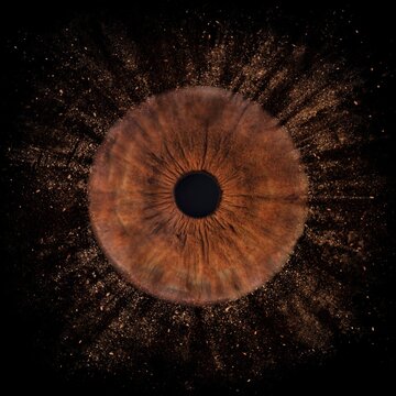 Human eye close up. Brown macro iris. Pupil on black background
