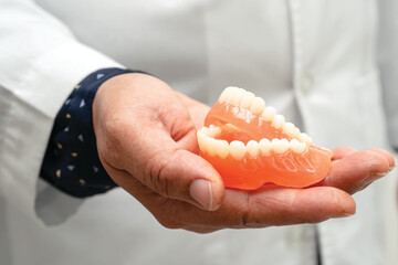 Denture, dentist holding dental teeth model to study and treat in hospital.