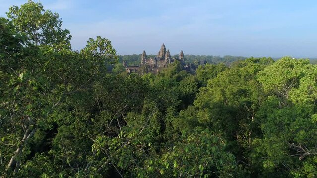 Angkor Wat Tree Zipline Camera Aerial Drone Cambidia Temple Buddhist
