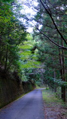 山への道