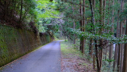 山への道