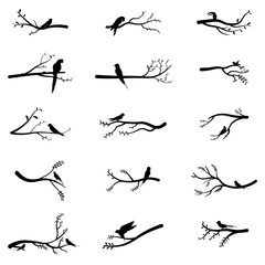 Collection of vector illustrations of bird silhouettes perched on branches