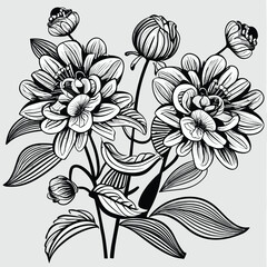 line art vector illustration on white. black and white flower . Modern minimalist hand-drawn design.