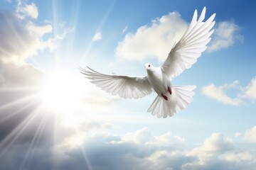 Obraz premium a white dove flying over the sun in a cloudy sky, in the religious style. Generative AI