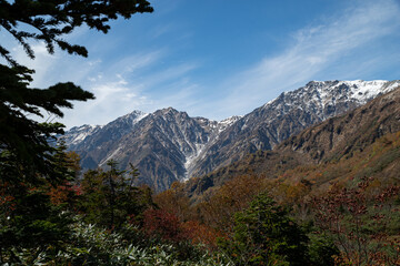 紅葉と白馬岳　栂池高原