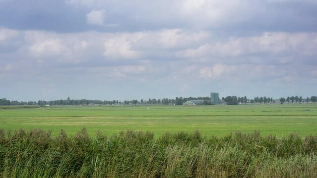 Dairy farmland located below sea level, moving shot filmed from a boat.