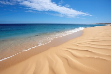 Fototapeta na wymiar untouched sand dune beach alongside clear ocean waters