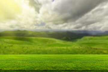 Beautiful green nature spring background