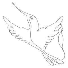 Continuous one line drawing silhouette of a bird flying. Colibri tropical transparent picture. Vector EPS10
