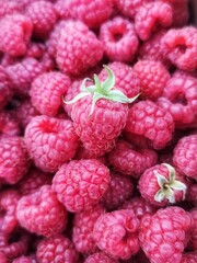 Raspberries on a dark background in the garden. Dense pink berries in the garden at night. Nature abstract background. Harvested berries. Beautiful dark pink texture of raspberries.