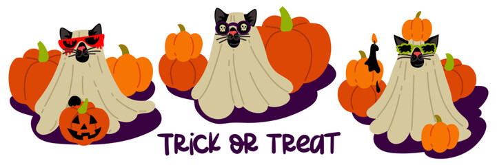 A set of cats in a sheet and glasses for Halloween on the background of pumpkins. Cute black cat with glasses with different decor elements. Funny costume. Flat vector illustration on a white. Costume