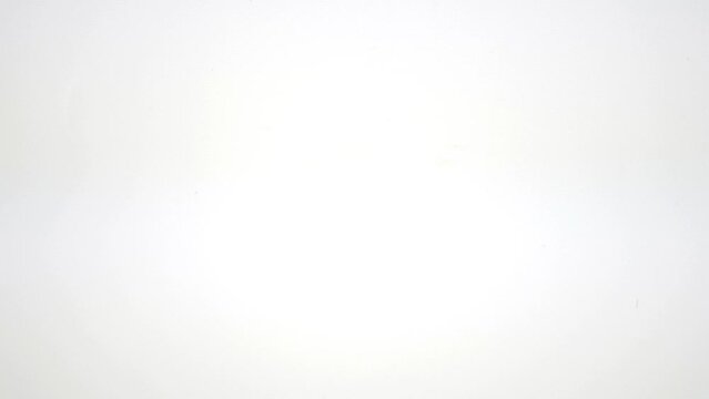 上に歩くハエトリグモ