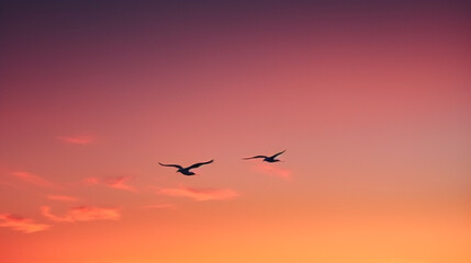 Fototapeta premium Radiant Evening Sky with Birds (Seagulls) in Flight - Capturing Majestic Moments of Peace & Elegance - Copy Space.