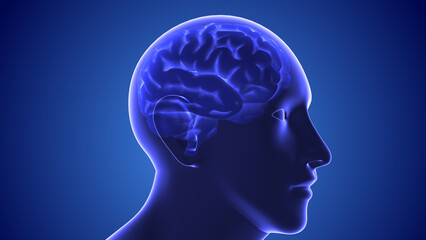 Medical concept of the human brain	
