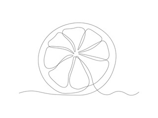 Abstract slice of lemon,orange, lime, continuous one line art drawing
