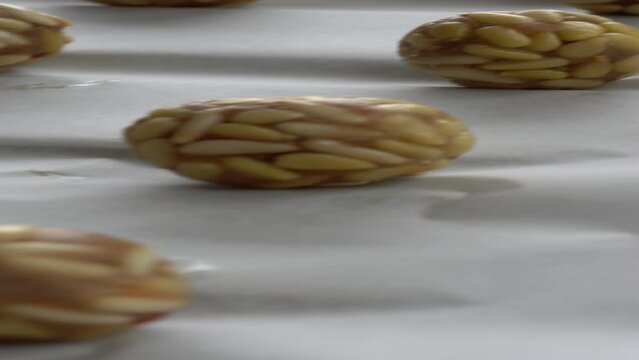 Preparation of panellets of raw pine nuts prepared for baking. Typical snack eaten on the feast of All Saints in Catalonia. 