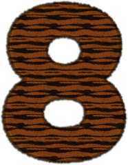 Tiger Fur Number 8