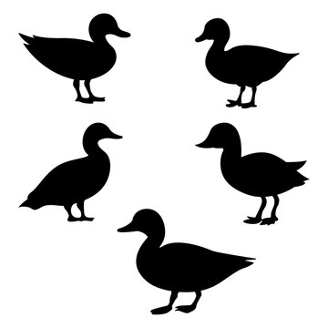 set of silhouettes of ducks