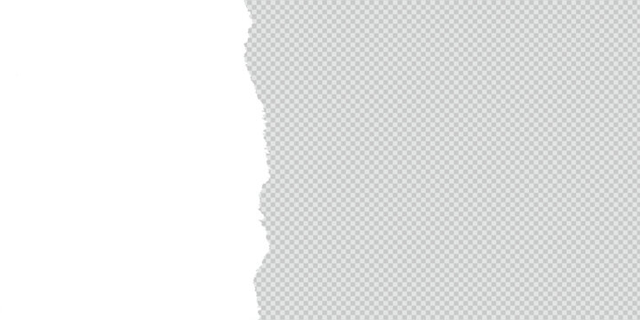 Transparent background white color torn paper with ripped cut effect blank empty banner vector file