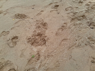 texture of sand